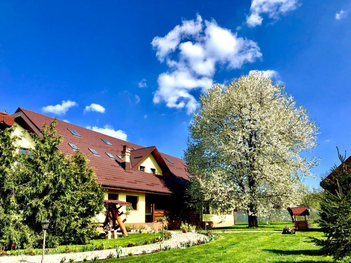 Casa Galbena Bed & Breakfast Arbore Dış mekan fotoğraf